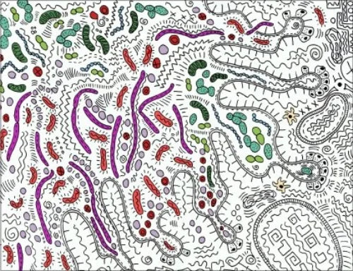 The Subtle Beauty of Bacillus Subtilis (Part II)