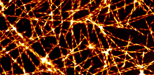 The Subtle Beauty of Bacillus Subtilis (Part IV)
