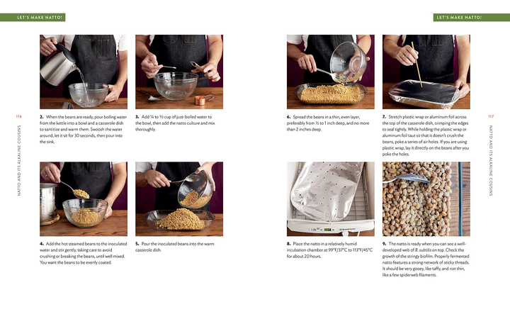 Book: Miso, Tempeh, Natto &amp; Other Tasty Ferments: A Step-by-Step Guide to Fermenting Grains and Beans (paperback)